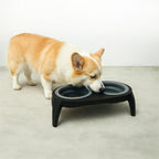 Comederos elevados Gatos /Perros -Gris