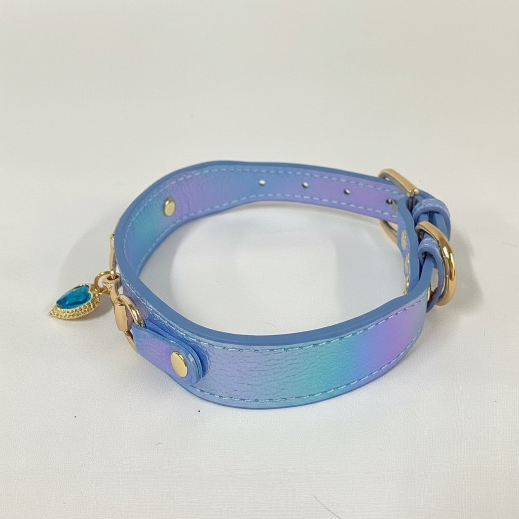 Collar de lujo Perros/Gatos-Azul