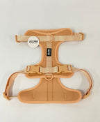 Arnés y correa Velpro | Palo rosa