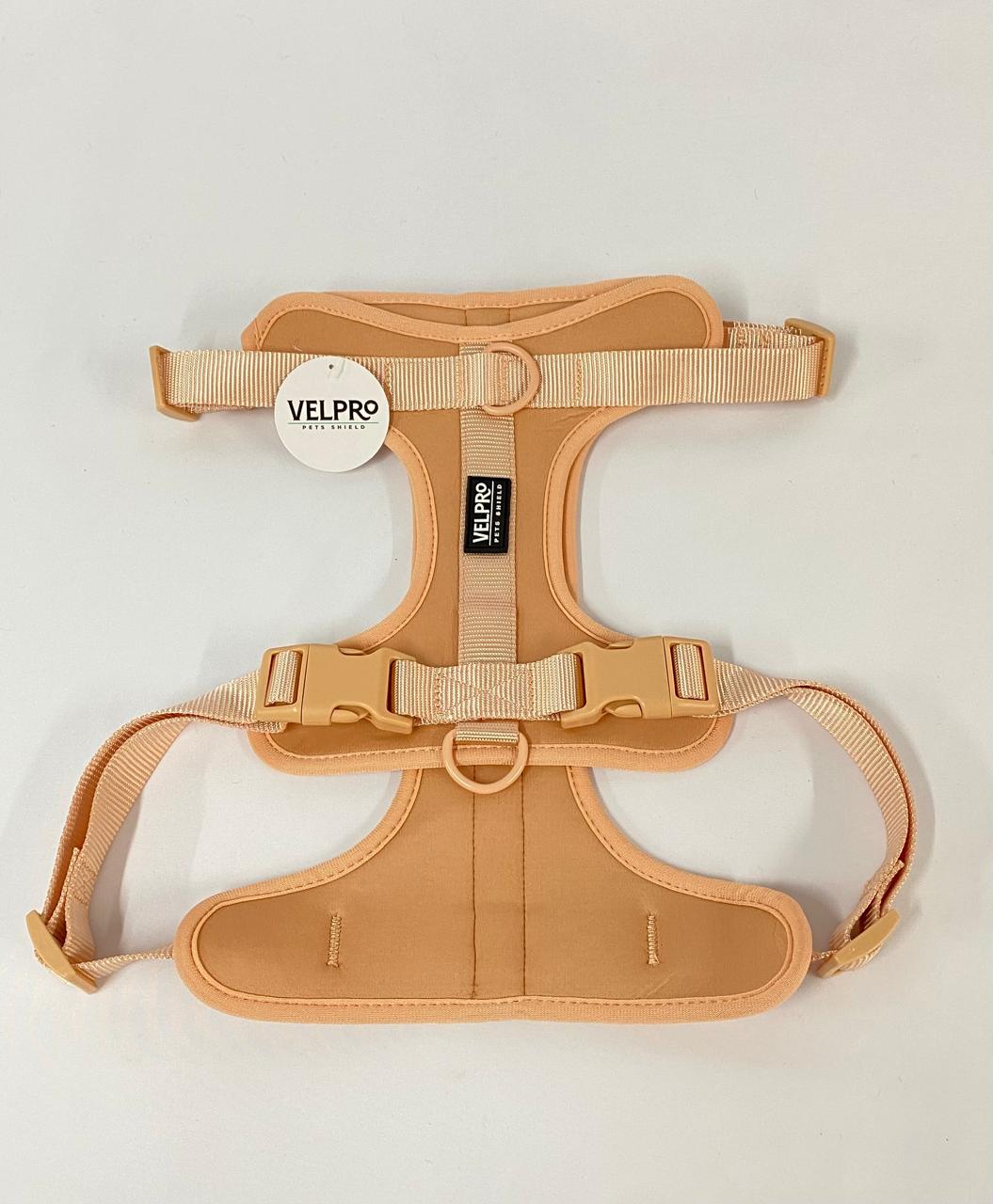 Arnés y correa Velpro | Palo rosa