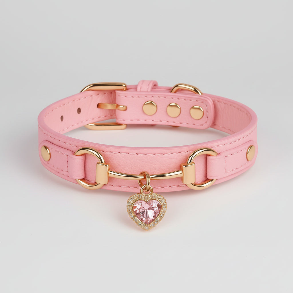 Collar de lujo Perros/Gatos-Negro