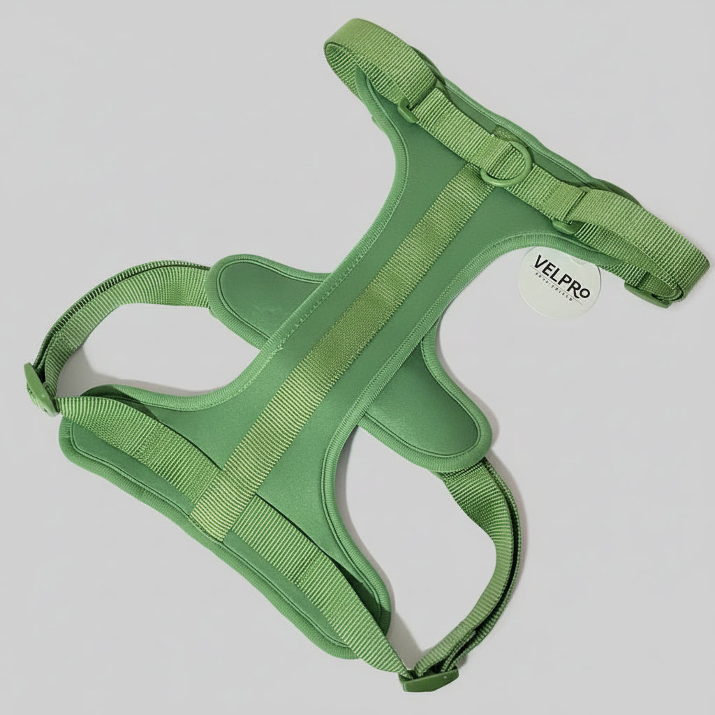 Arnés y correa Velpro | Verde