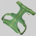 Arnés y correa Velpro | Verde