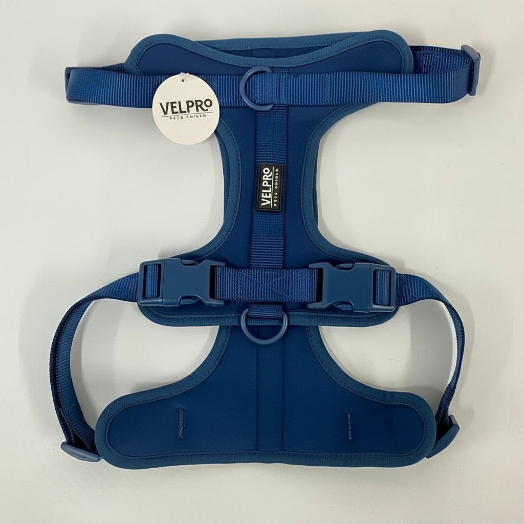 Arnés y correa Velpro |Azul