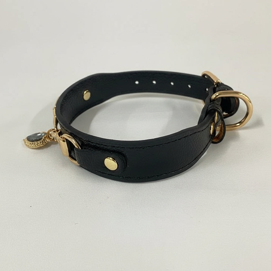 Collar de lujo Perros/Gatos-Negro