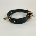 Collar de lujo Perros/Gatos-Negro