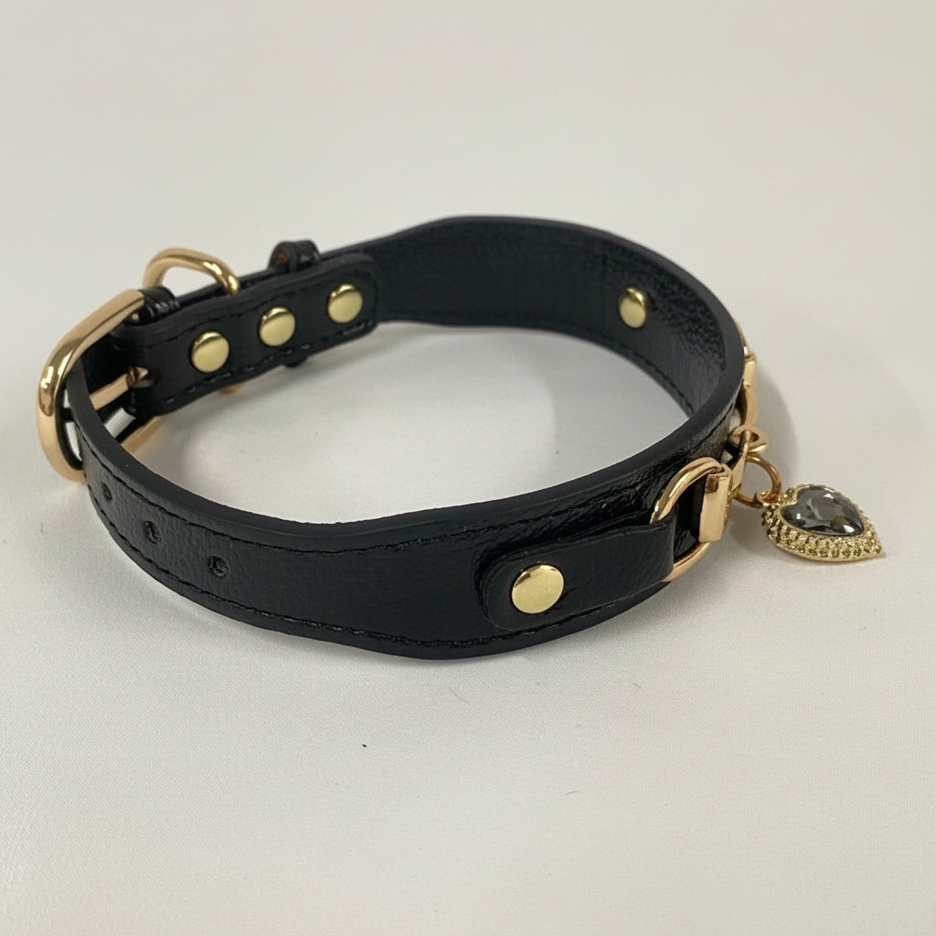 Collar de lujo Perros/Gatos-Negro