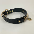 Collar de lujo Perros/Gatos-Negro