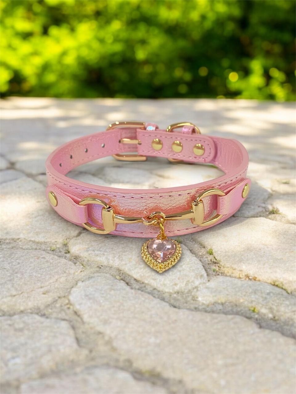 Collar de lujo Perros/Gatos-Negro