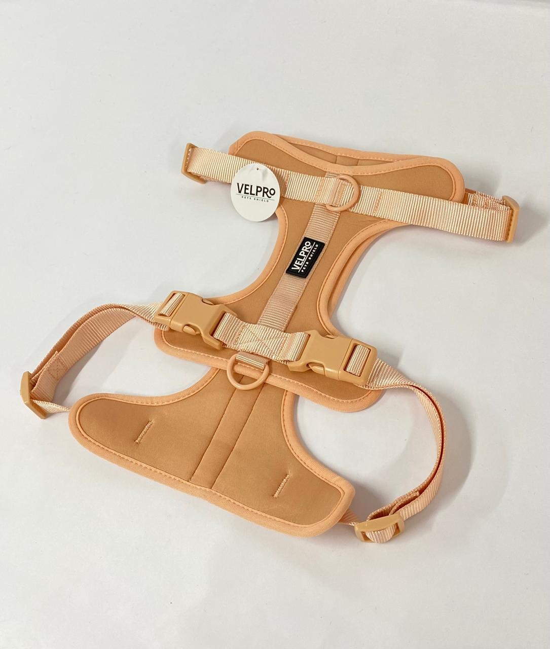 Arnés y correa Velpro | Negro