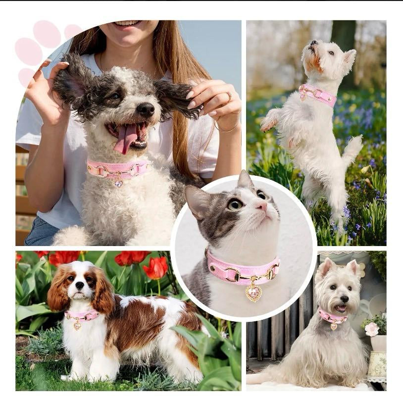 Collar de lujo Perros/Gatos-Palo Rosa