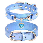 Collar de lujo Perros/Gatos-Azul