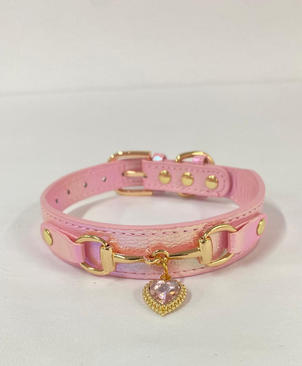 Collar de lujo Perros/Gatos-Azul