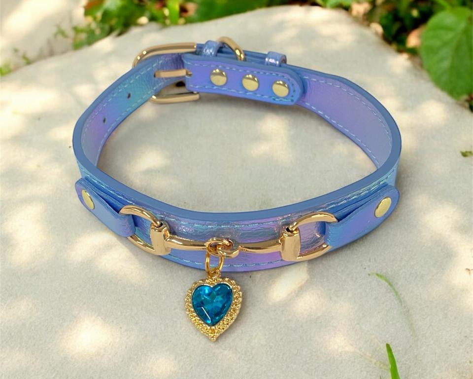 Collar de lujo Perros/Gatos-Azul