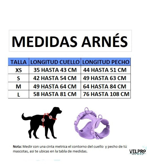 Arnés y correa Velpro | Negro