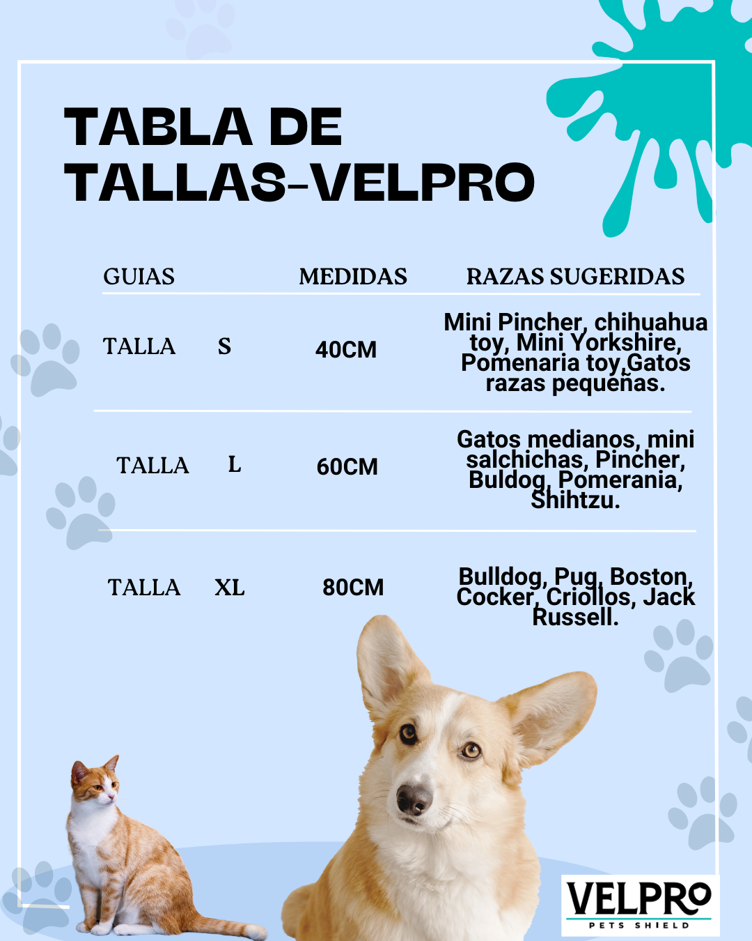 Cama Donna Antiestrés-Gris/ Cojín Negro