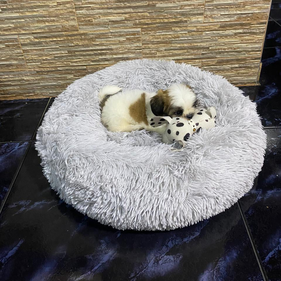 Cama Donna Antiestrés-Gris/ Cojín Negro