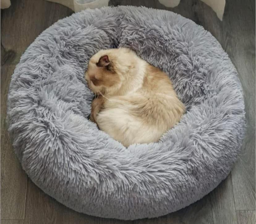 Cama Donna Antiestrés-Gris/ Cojín Rosa