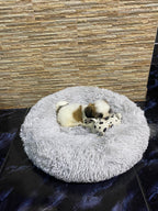 Cama Donna Antiestrés-Gris/ Cojín Rosa