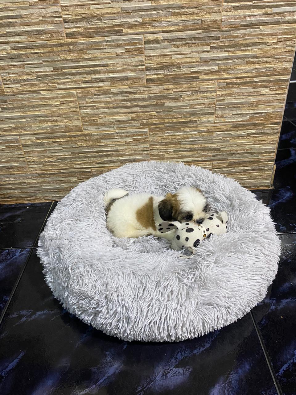 Cama Donna Antiestrés-Gris/ Cojín Rosa