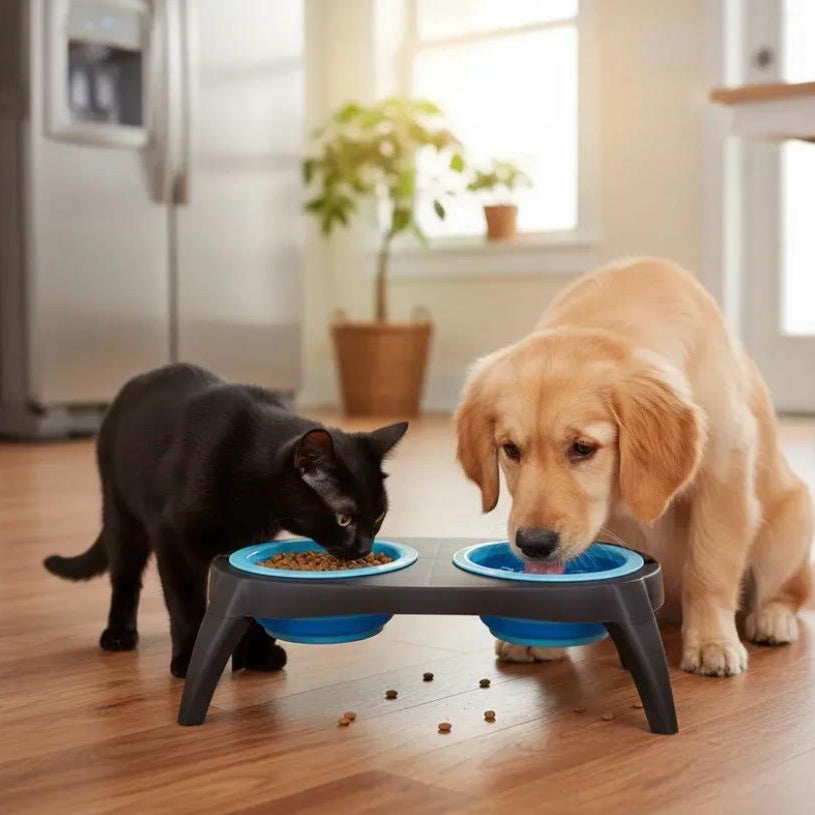Comederos elevados Gatos /Perros -Azul