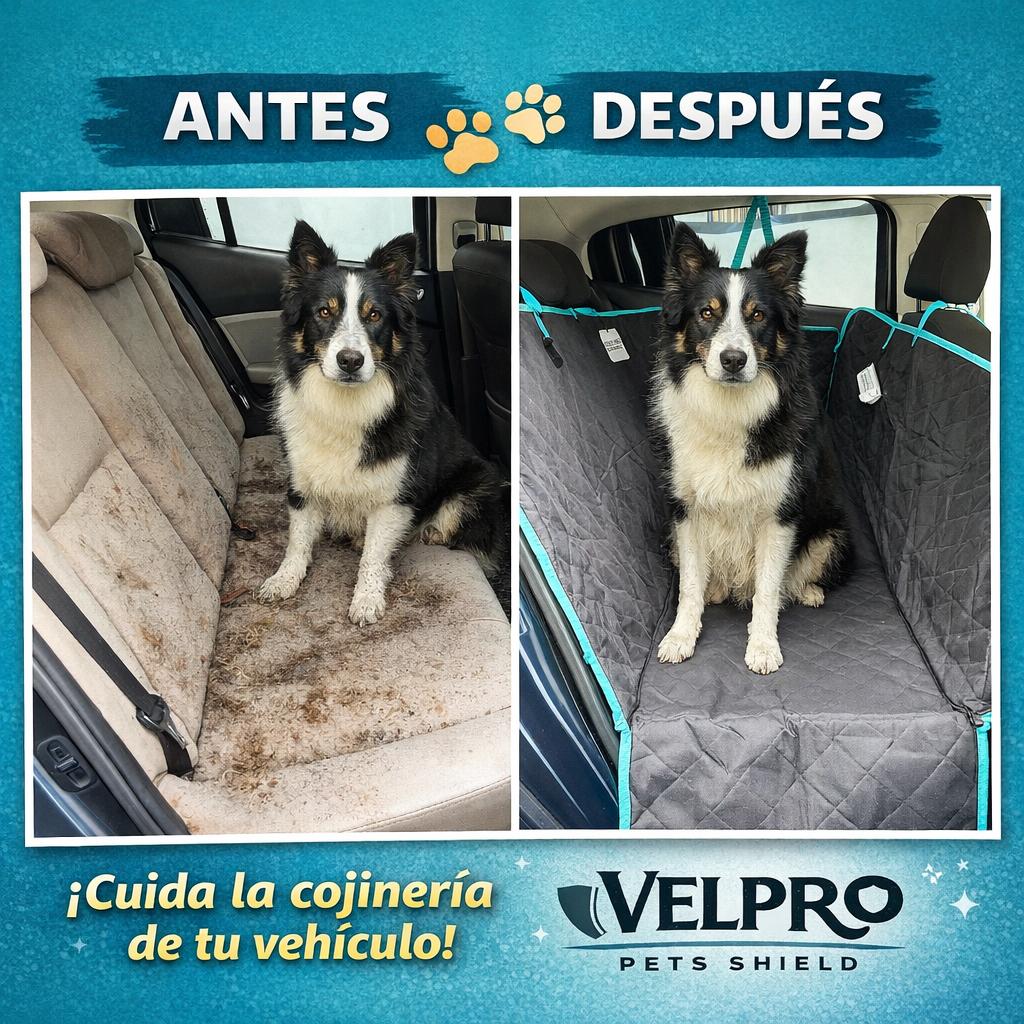 AVIF

• 1200 × 774

• 51,75 kB