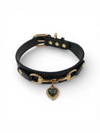 Collar de lujo Perros/Gatos-Negro
