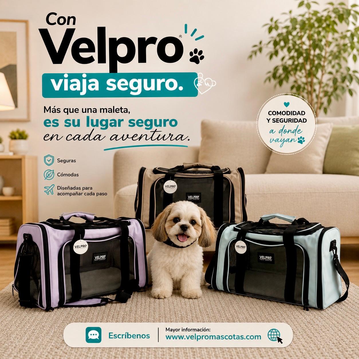 Maletas trasportadora - Mascotas razas pequeñas-Color Marrón