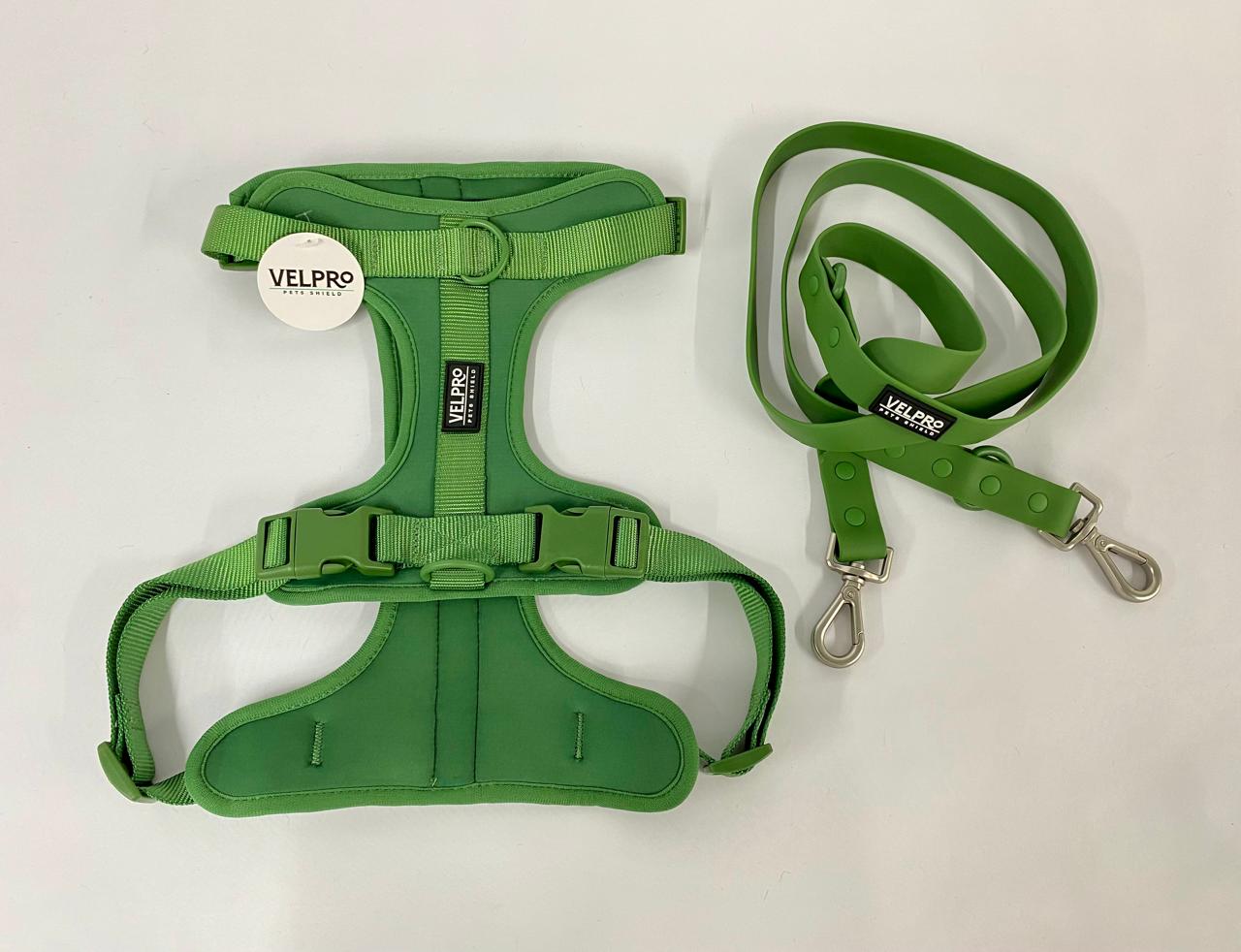 Arnés y correa Velpro | Negro