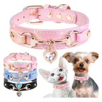 Collar de lujo Perros/Gatos-Azul