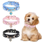 Collar de lujo Perros/Gatos-Negro