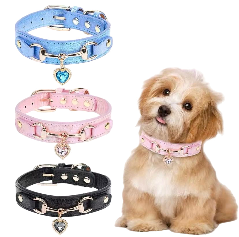 Collar de lujo Perros/Gatos-Negro