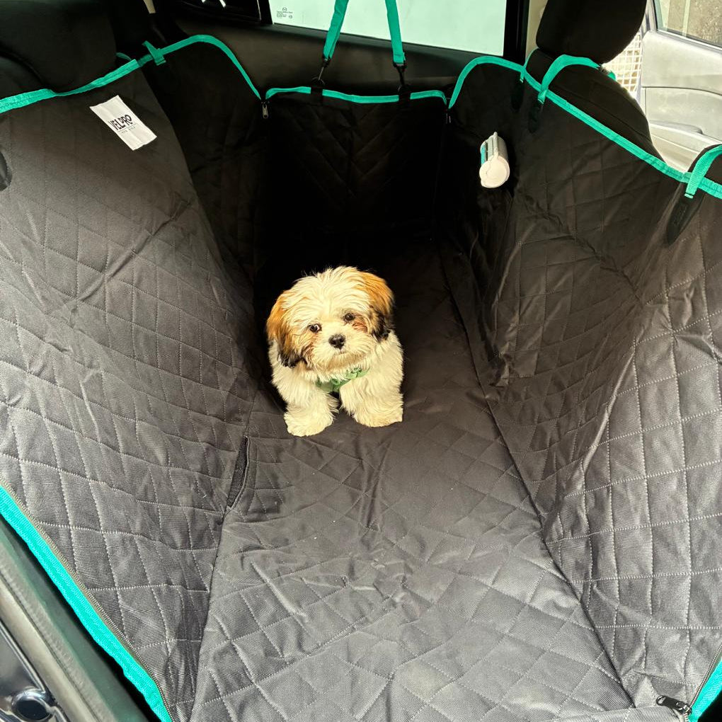 Protector Premium sillas trasera con Bolsillo protege puertas - Mascotas