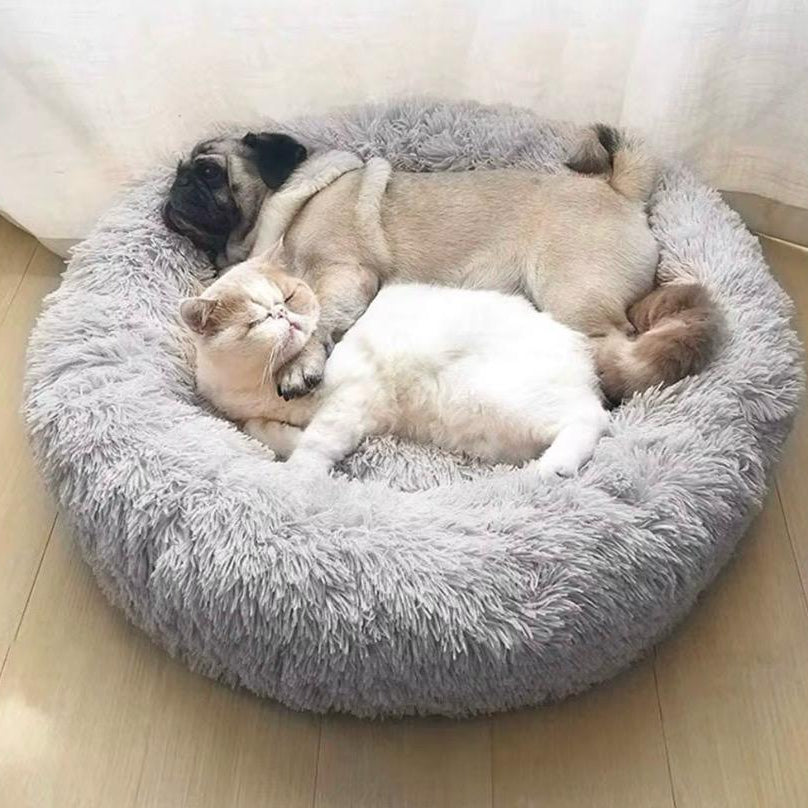 Cama Donna Antiestrés-Gris/ Cojín Negro