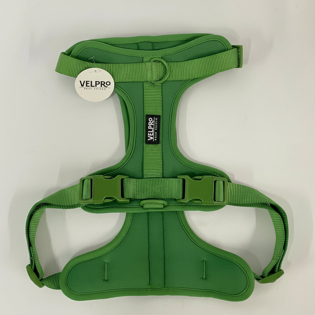 Arnés y correa Velpro | Verde