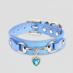 Collar de lujo Perros/Gatos-Azul