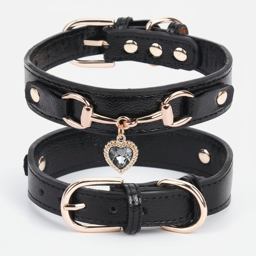 Collar de lujo Perros/Gatos-Negro