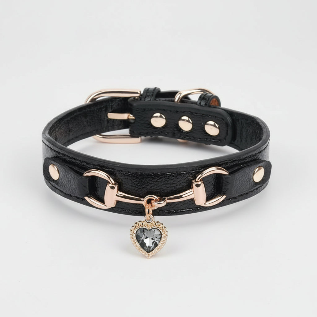 Collar de lujo Perros/Gatos-Negro
