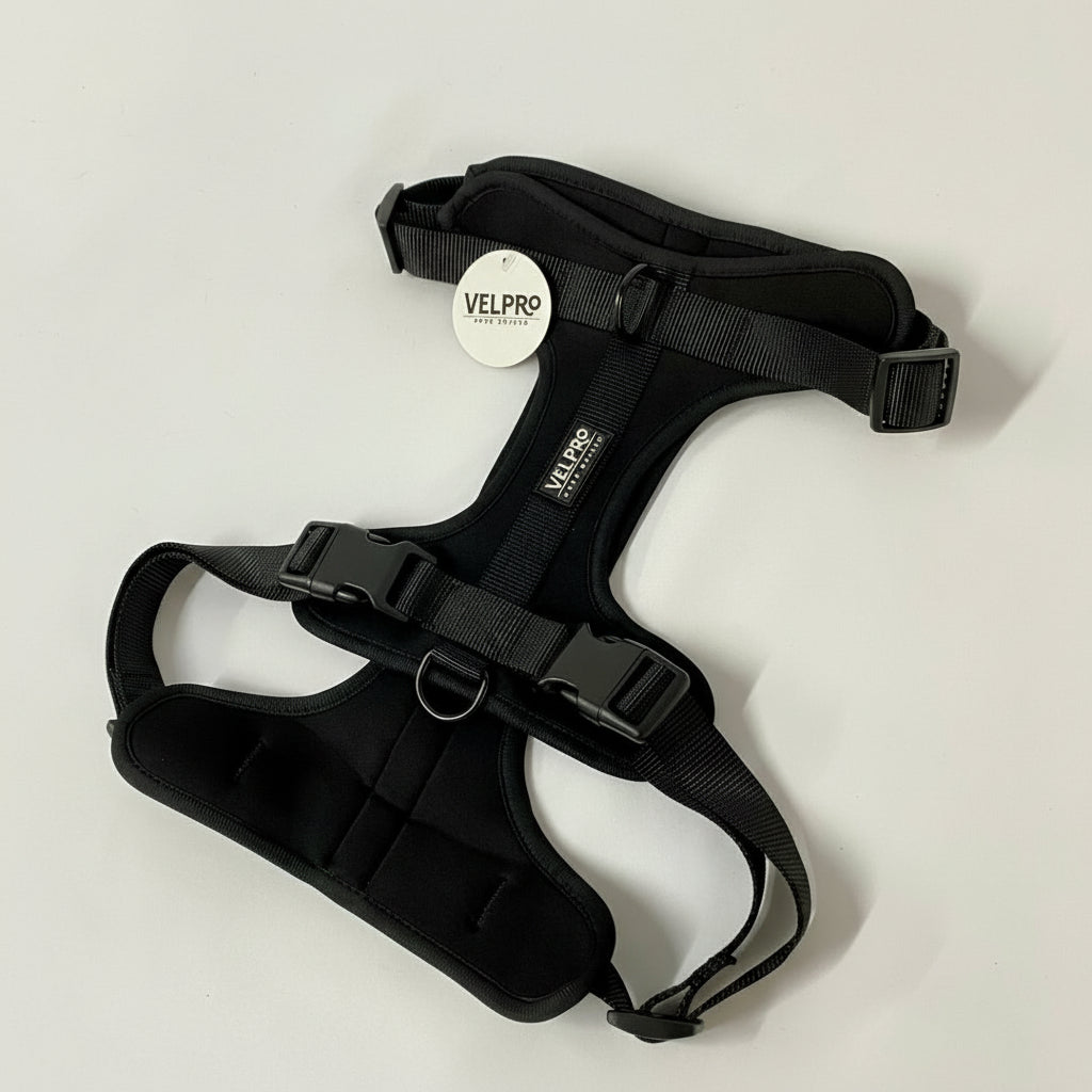 Arnés y correa Velpro | Negro