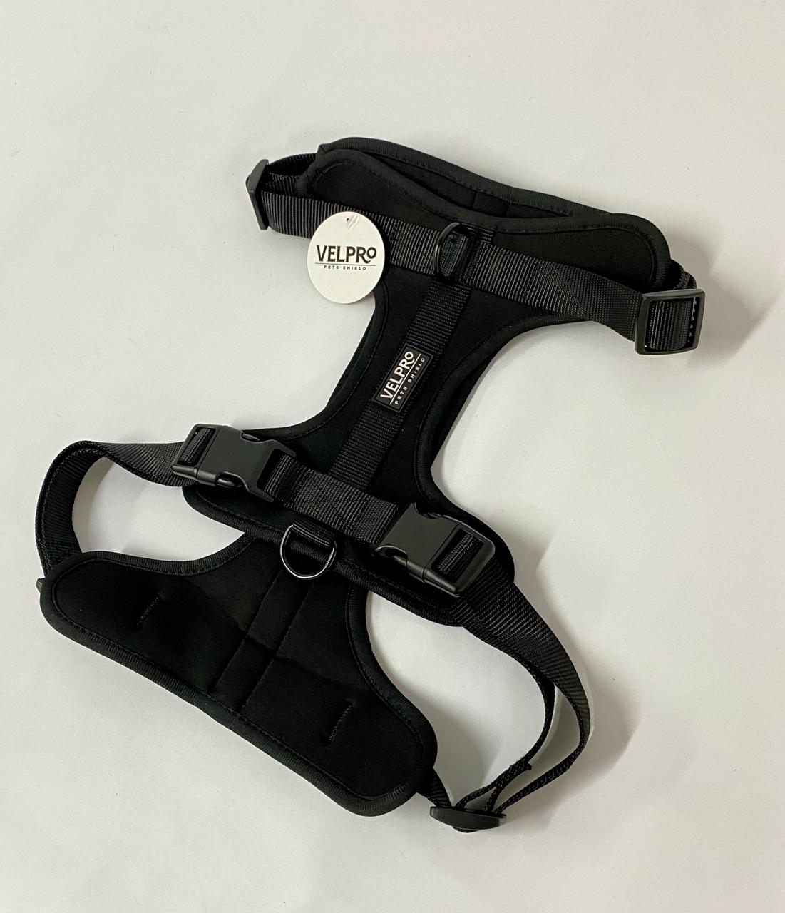 Arnés y correa Velpro | Verde