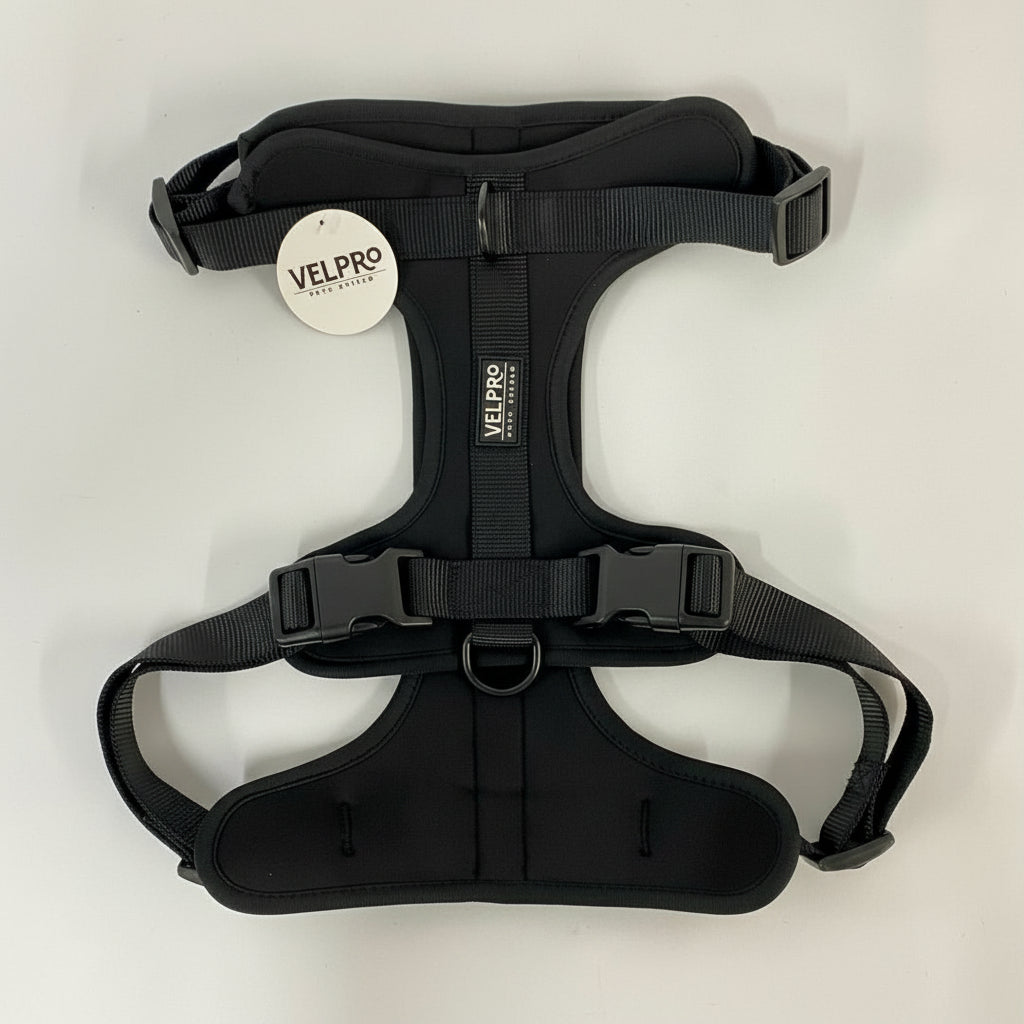 Arnés y correa Velpro | Negro