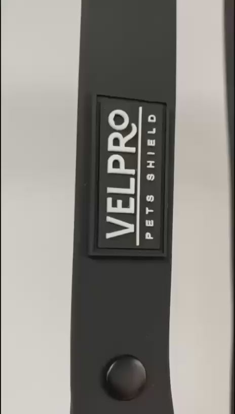 Arnés y correa Velpro | Palo rosa