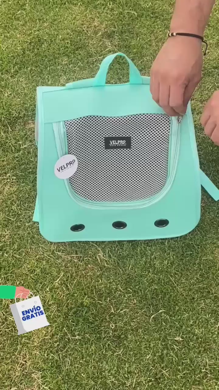 Maletas trasportadora - Mascotas razas pequeñas-Morada