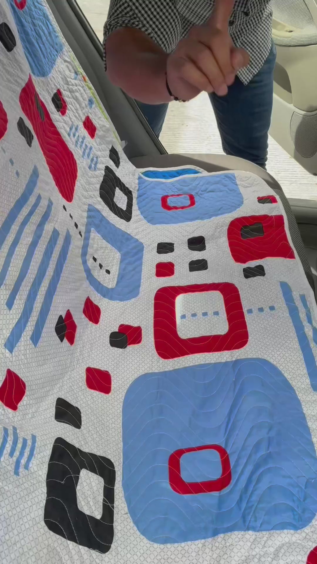 Protector Premium Básico silla trasera vehículos -Mascotas