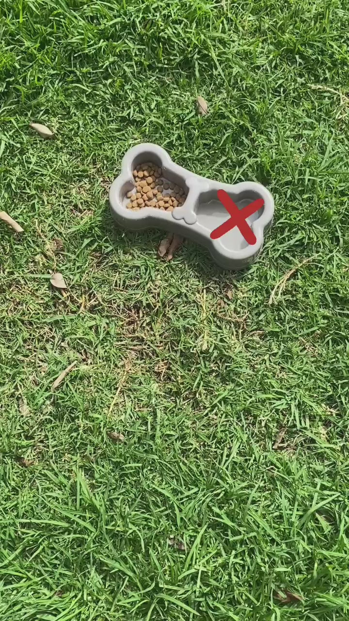 Comederos elevados Gatos /Perros -Azul