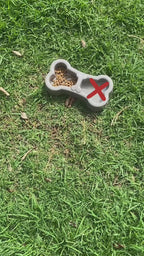 Comederos elevados Gatos /Perros -Azul